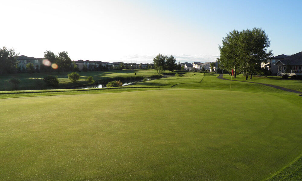 Cn golf 1000
